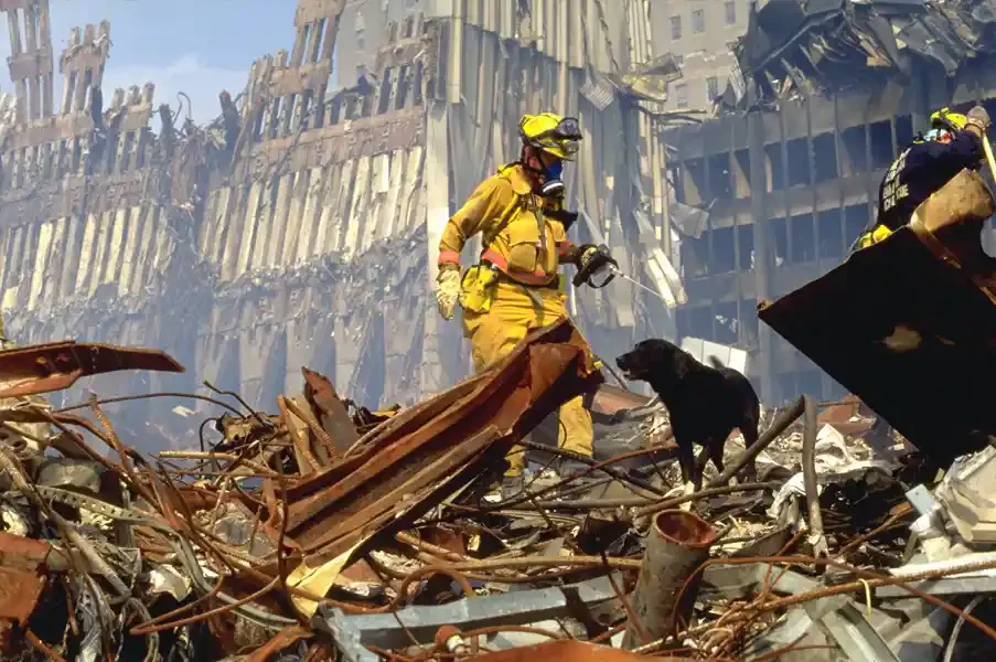  FEMA - FEMA's Urban Search and Rescue teams search for survivors amongst the wreckage of the World Trade Center. Photo by Andrea Booher/ FEMA News Photo. 