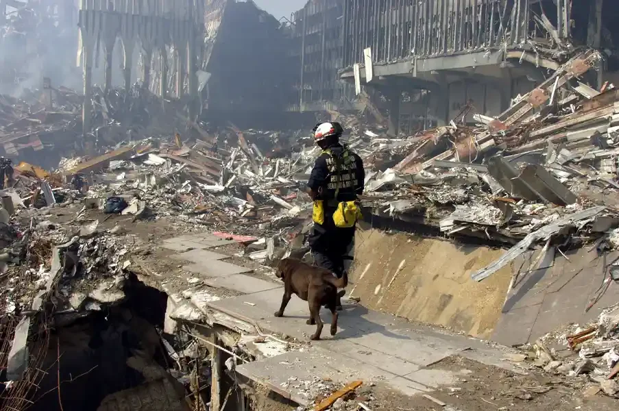  FEMA 3997 - An Urban Search and Rescue crew member from Washington state searches through the rubble for survivors following the terrorist attacks on the World Trade Center. Photo by Michael Rieger/ FEMA News Photo. 