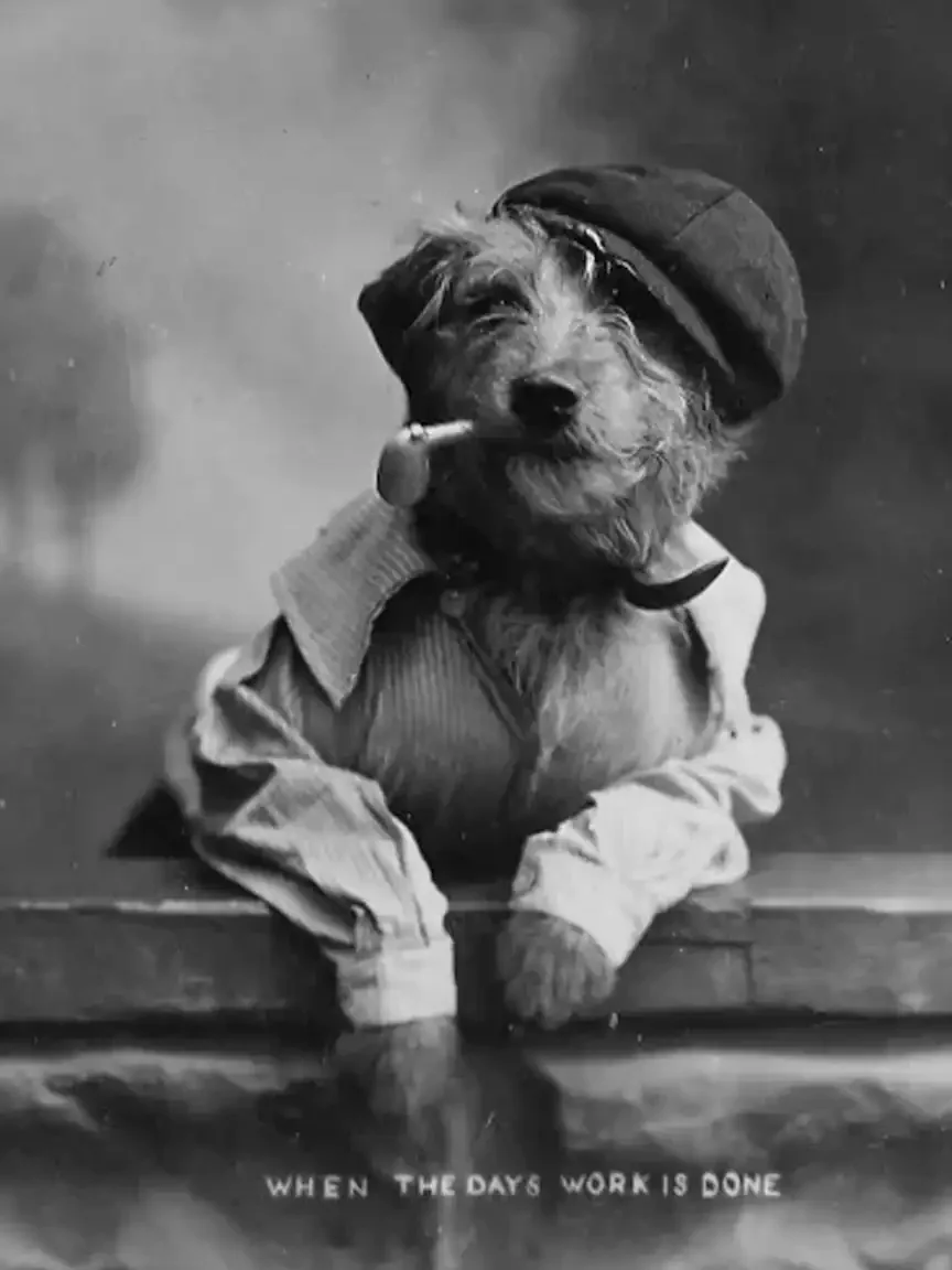 Black-and-white Victorian photograph of a dog dressed as a weary worker, wearing a cap and shirt, leaning on a ledge and smoking a pipe, captioned “When the day’s work is done.”