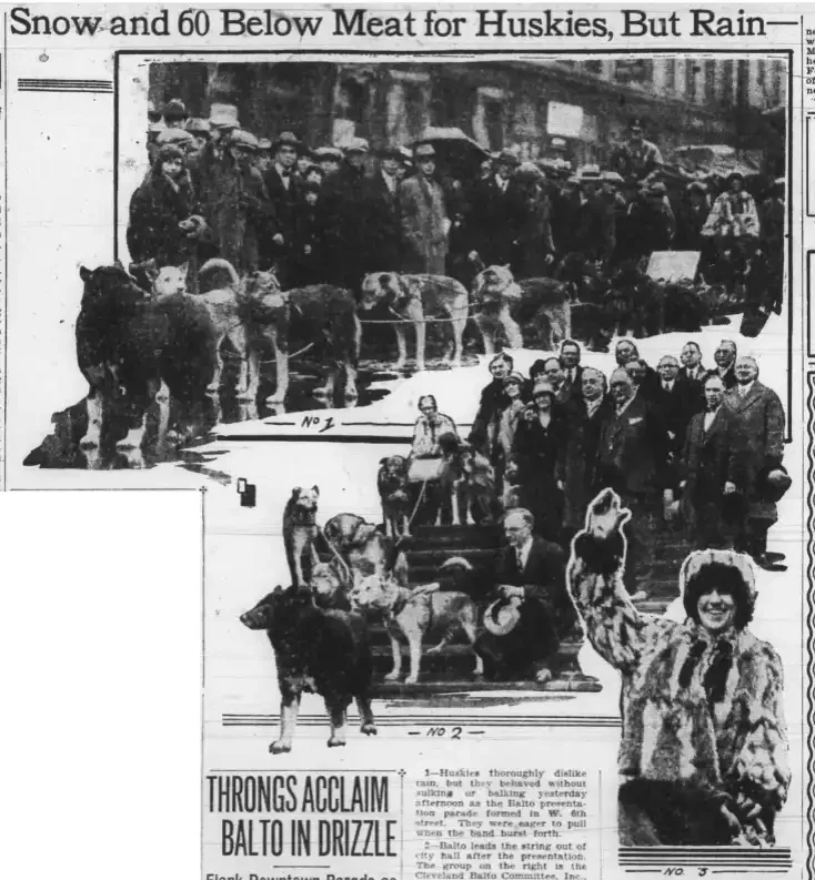 A black-and-white 1927 newspaper page with photos of a crowd, dignitaries, and sled dogs gathered on a rainy city street for a parade welcoming Balto to Cleveland.