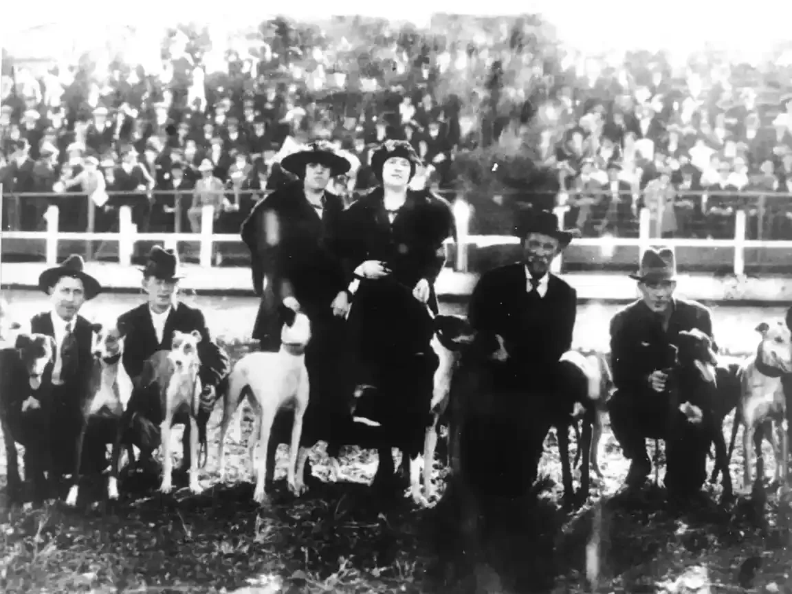 Greyhounds held on leads by handlers in suits and hats, lined up on grass in front of a crowded grandstand, with two women in long coats standing among them.
