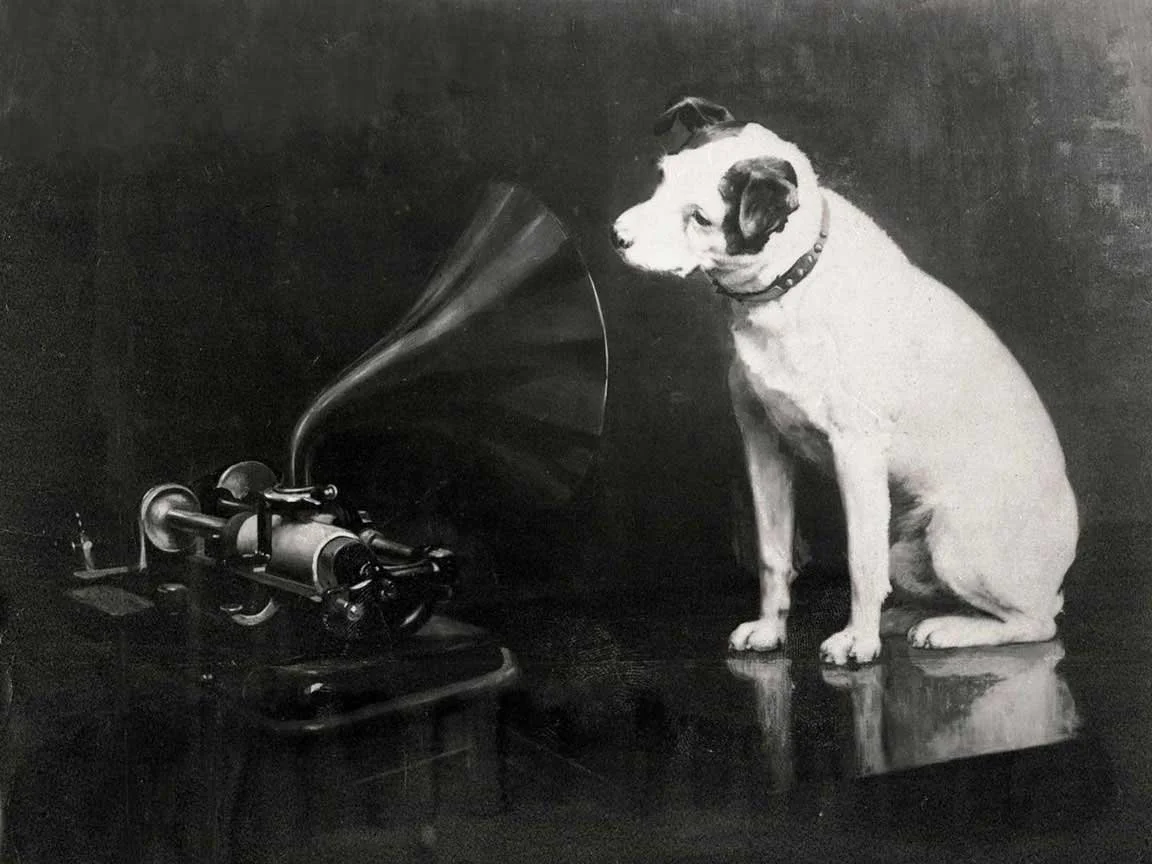 A white and brown terrier dog sits attentively, listening to a large an Edison Bell cylinder phonograph in the painting His Master’s Voice by Francis Barraud.