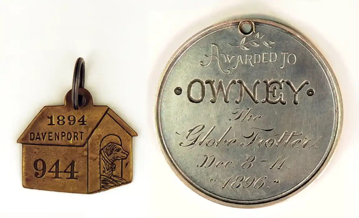 Two metal tags belonging to Owney sit side by side: a brass Davenport tag dated 1894 and a silver medal awarded to Owney in 1896.