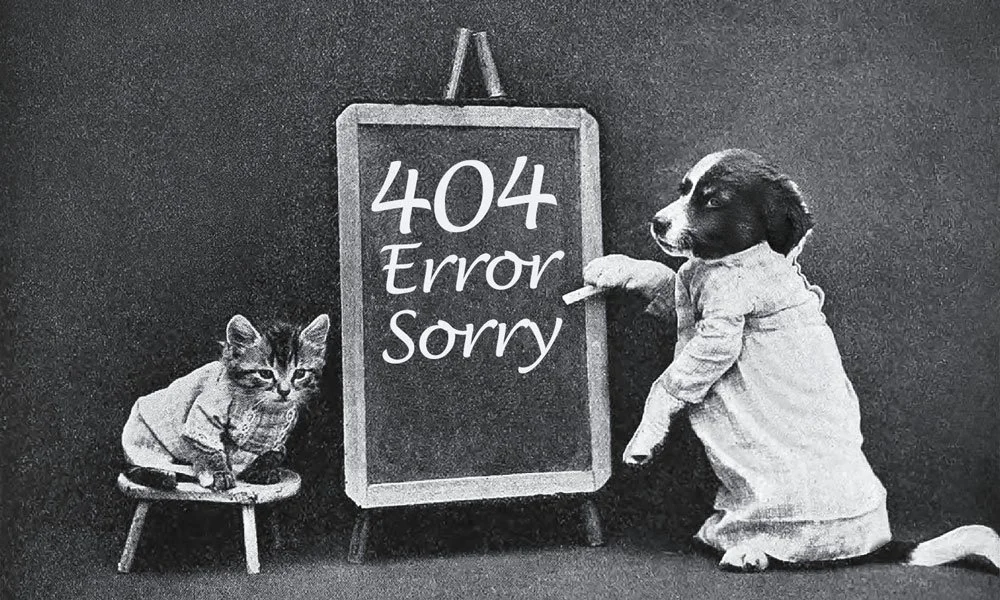 A dog and a cat dressed in clothes, sitting next to a chalkboard with the text '404 Error Sorry', mimicking a human situation.