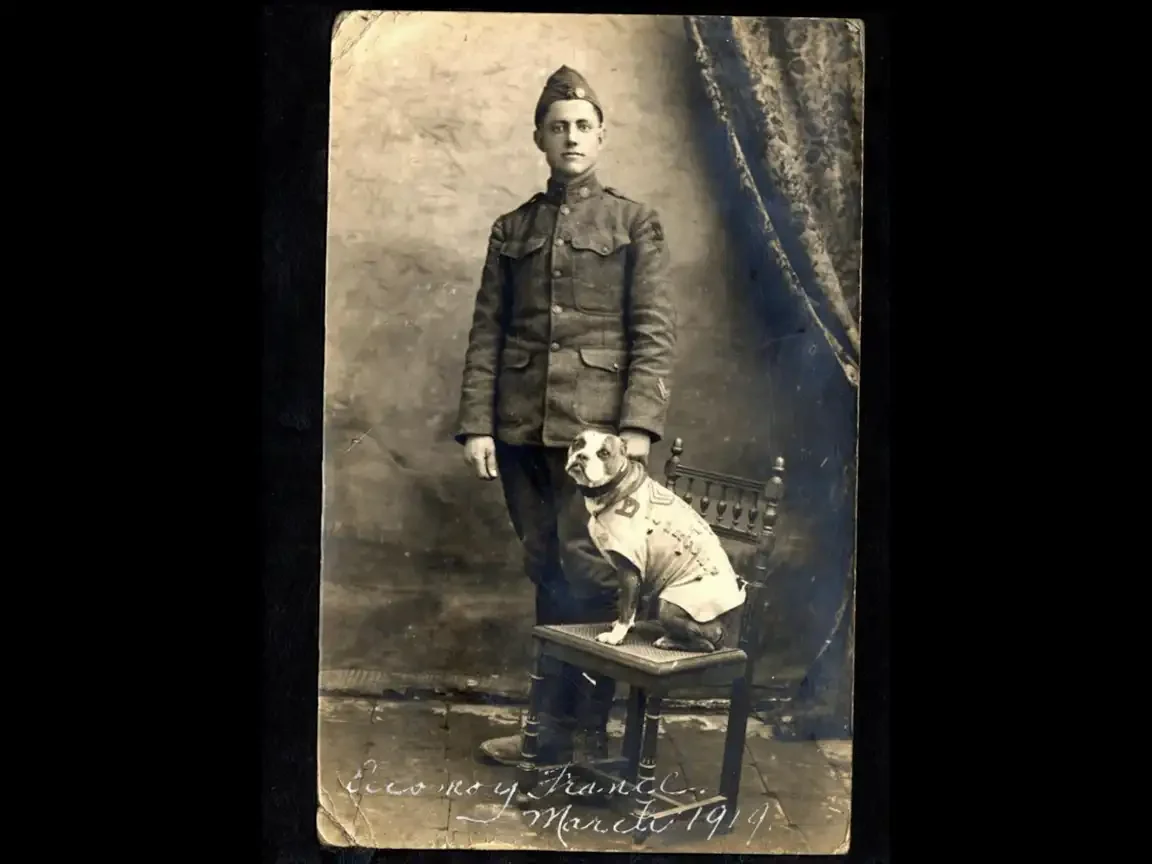 A formal studio photograph of a uniformed American soldier standing beside a Boston terrier mix dog, who sits on a chair wearing a decorated chamois blanket