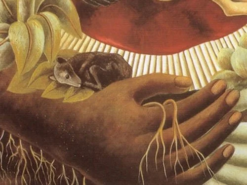 Detail of Kahlo's 1949 painting showing a small dark hairless dog curled asleep in a large outstretched hand amid roots and foliage.