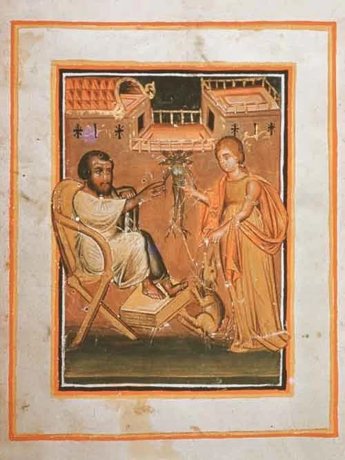 Medieval illustration showing a seated man receiving a mandrake root from a woman holding a dog, with buildings in the background and orange decorative border.