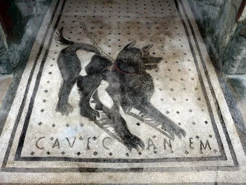 Ancient Roman mosaic of a black guard dog on a leash with the Latin warning “Cave Canem” (Beware of the Dog), from the House of the Tragic Poet in Pompeii.