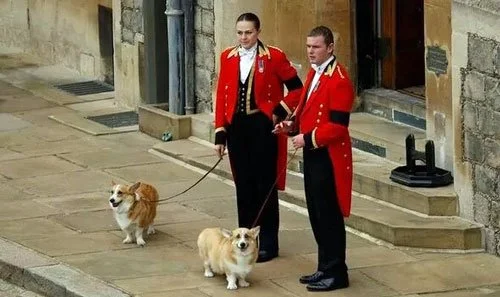 Two royal staff members in red uniforms stand outside a stone building, each holding a leash of a Pembroke Welsh Corgi (Muick and Sandy), likely part of Queen Elizabeth II’s beloved pack.