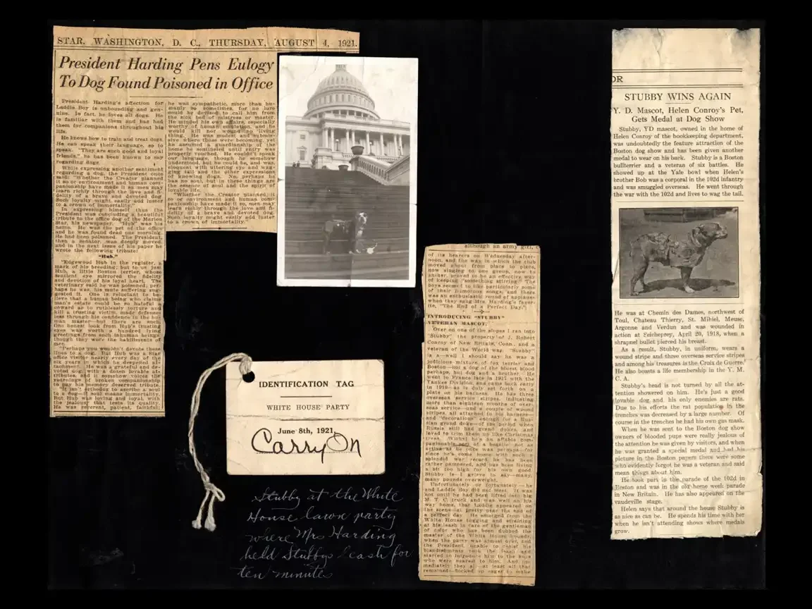 Scrapbook page of newspaper clippings, photos, and notes documenting Sergeant Stubby’s fame, honors, and public appearances after World War I.