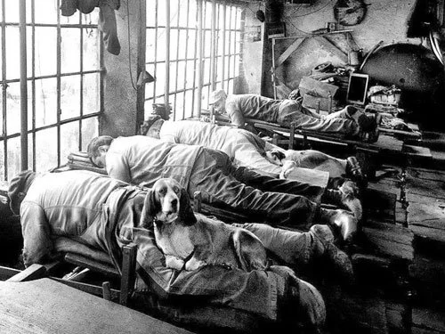 The Knife Grinders and Their Warmhearted Helpers