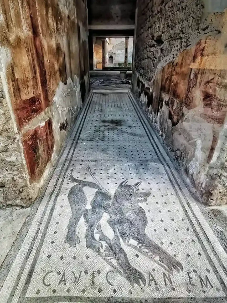 View of the vestibule of a Roman house look down at an ancient Roman mosaic of a black guard dog on a leash with the Latin warning “Cave Canem” (Beware of the Dog), from the House of the Tragic Poet in Pompeii.