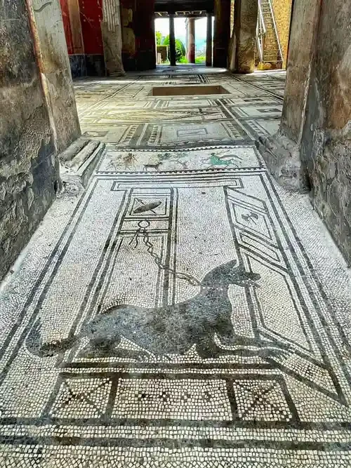 Black-and-white floor mosaic of a leashed dog in motion, set into the geometric-tiled entrance corridor of the House of Paquius Proculus, Pompeii.