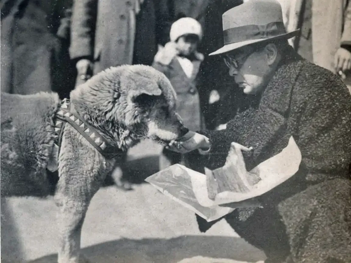 Historic photo of Hachikō wearing his harness offering his paw to a man wearing a hat and overcoat, surrounded by onlookers.