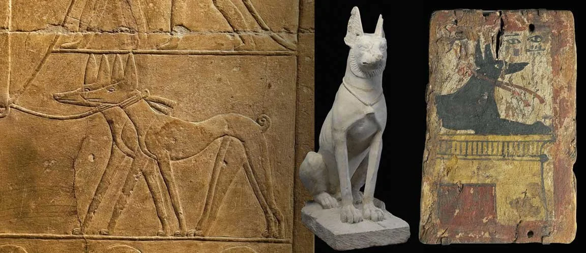 Ancient Egyptian dog imagery: carved relief of a slender hunting dog, statue of Anubis with jackal head, and painted funerary panel depicting a sacred dog figure.