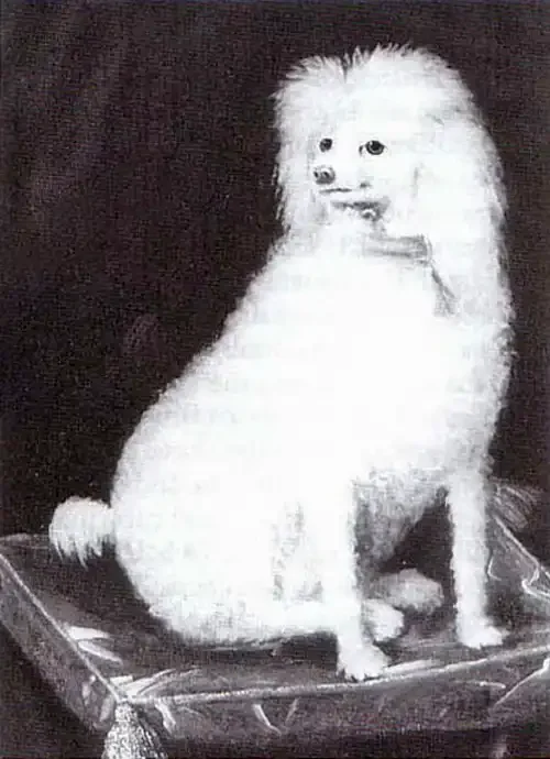 Monochrome photo of a painting: a small fluffy white dog sits on a tasseled cushion against a dark background, head turned to one side, ears pricked.