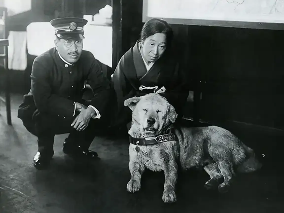 Hachikō photographed indoors with two people kneeling beside him in a historic black-and-white portrait.