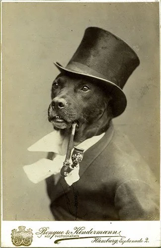 Victorian studio portrait postcard of a dog dressed as a gentleman, wearing a top hat and formal jacket, holding a pipe in its mouth, photographed against a plain backdrop.