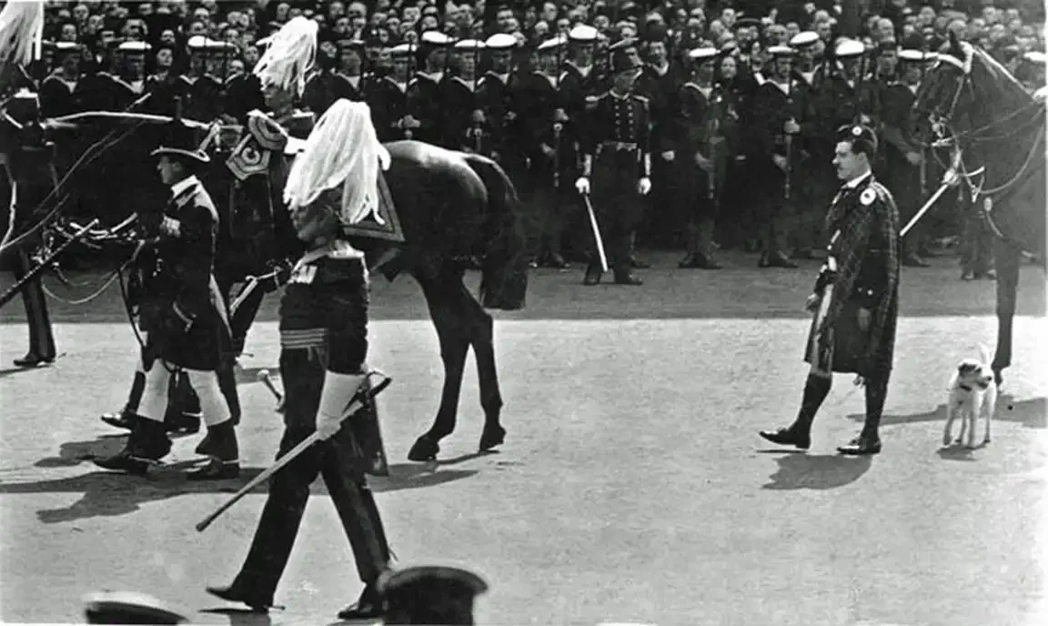 Black-and-white photograph of Caesar, Edward VII's wire fox terrier, being led on a leash by a kilted Highland soldier during the 1910 royal funeral procession.