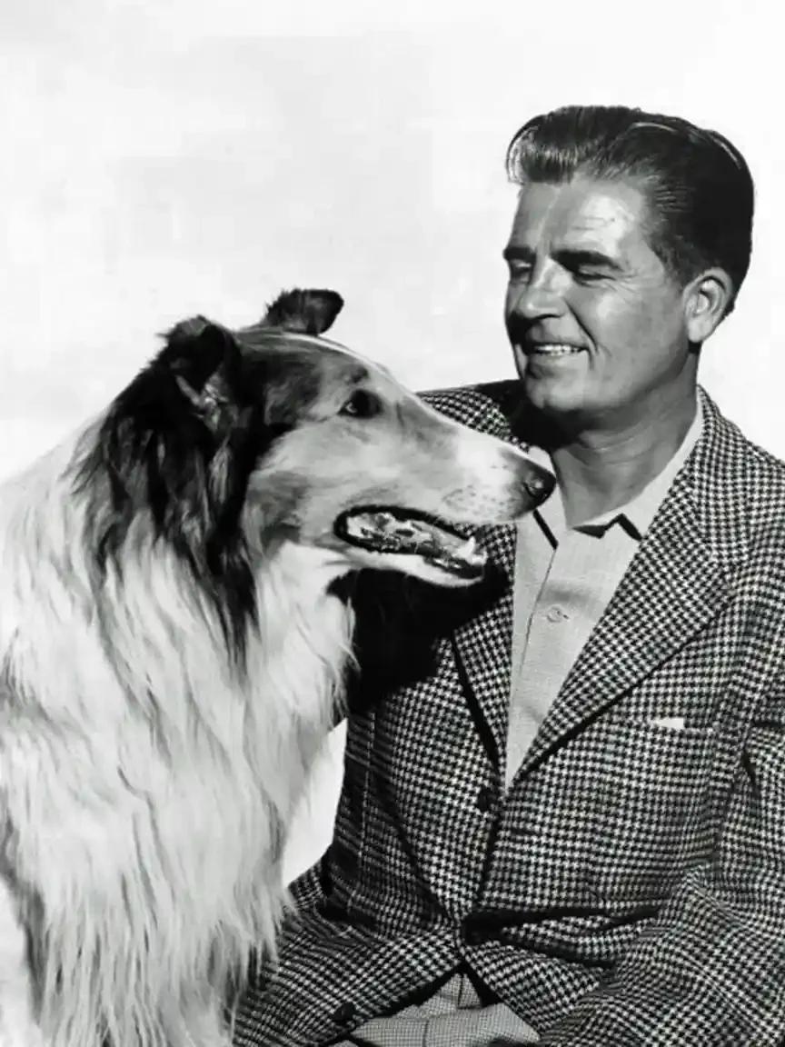 A smiling man in a houndstooth jacket looks down at a rough collie in the foreground. The dog faces him in profile, mouth open. Studio portrait, black and white.