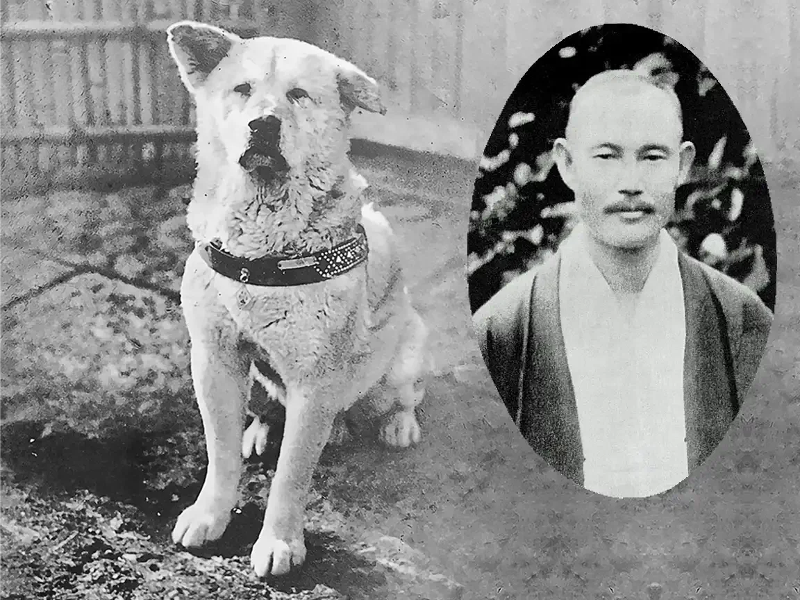 Hachikō the Akita sits beside an inset portrait of Professor Hidesaburō Ueno, the owner he waited for daily at Shibuya Station.