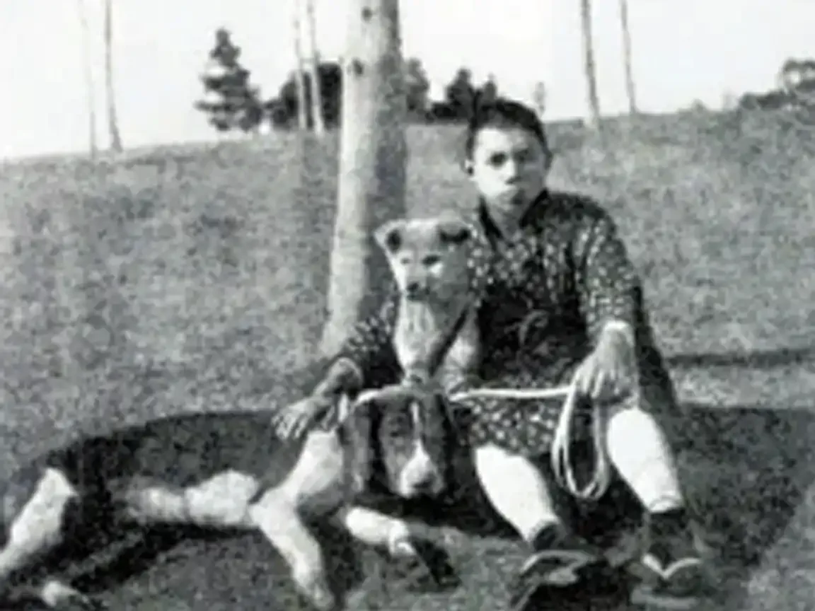Young Hachikō as a puppy sitting beside a boy while another dog lies nearby in an early black-and-white photograph.