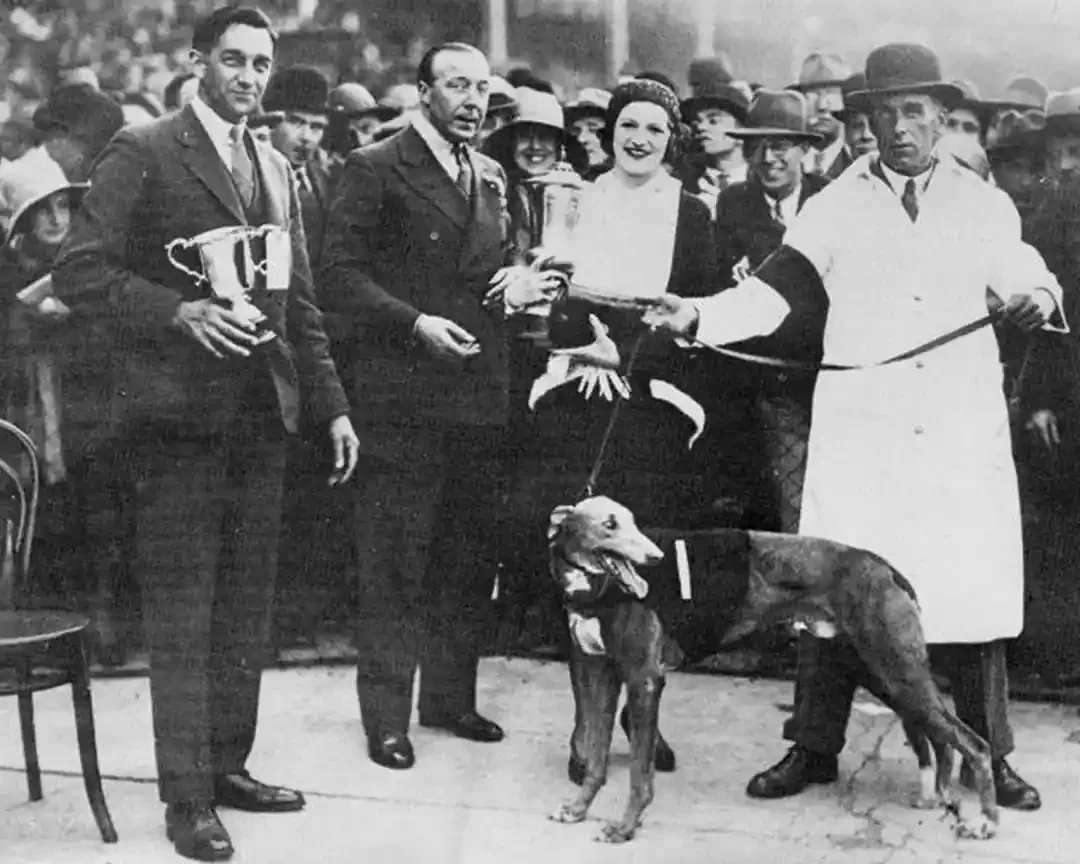 A greyhound on a lead beside a man in a white kennel coat, facing a group holding silver trophies, with a large crowd pressed behind them.