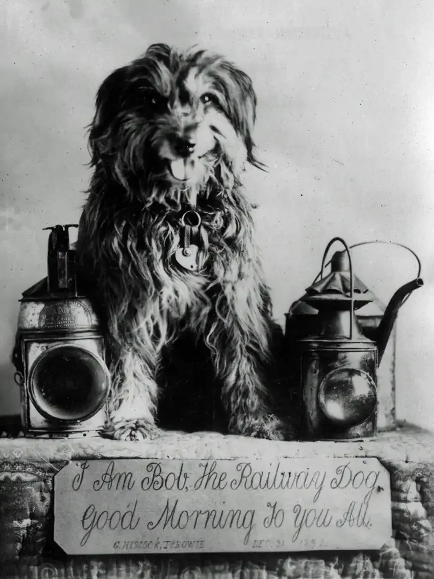 A shaggy dog sits between two railway signal lamps and a tin oil can, tongue out, a tag at his throat. A painted slate below reads: I Am Bob, The Railway Dog. Good Morning To You All.