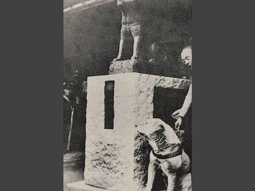 Sculptor Teru Andō poses beside the early Hachikō statue while the real dog stands nearby.