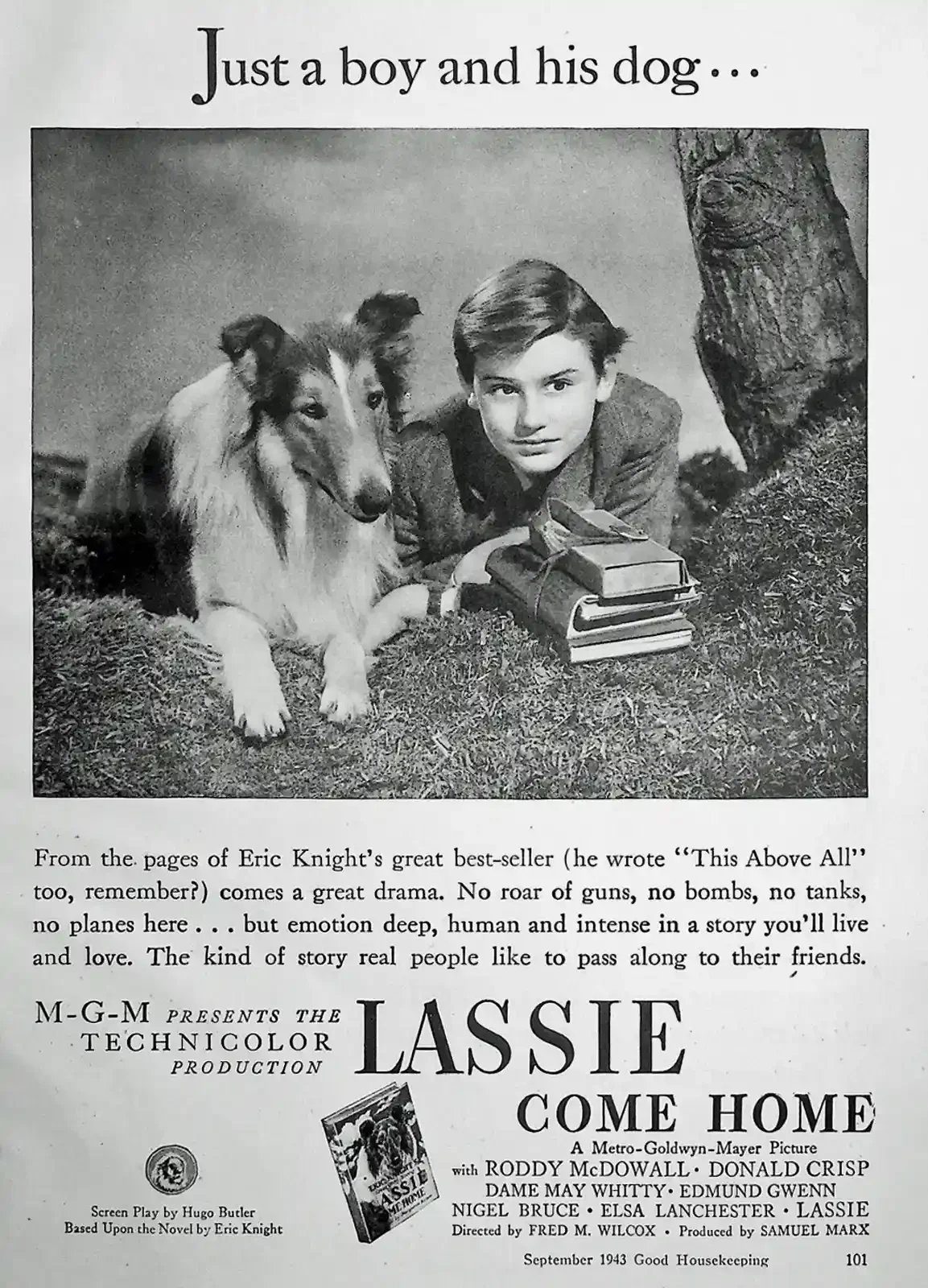 A magazine advertisement. A boy lies on grass beside a rough collie, both facing the camera, a strapped bundle of schoolbooks by his elbow. Headline: Just a boy and his dog.