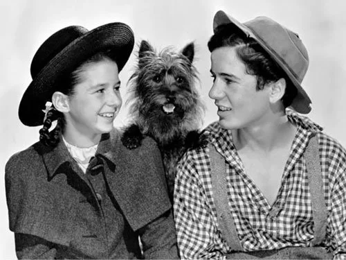 Two children smile at each other as Terry the dog (later Toto) poses between them with paws on their shoulders in a promotional still from the 1939 film Bad Little Angel.