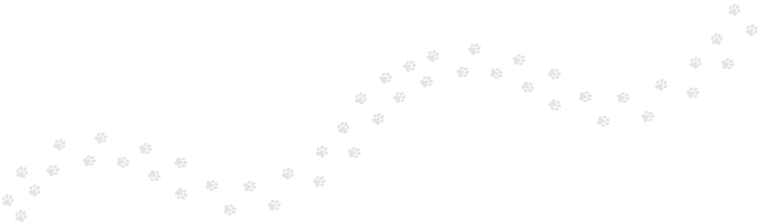 Winding track of light grey dog paw prints moving left to right across the screen in the background