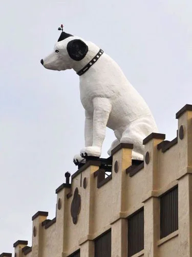 Large rooftop statue of Nipper the dog wearing a studded collar, perched atop a historic RCA building in Albany, New York, against a pale sky.