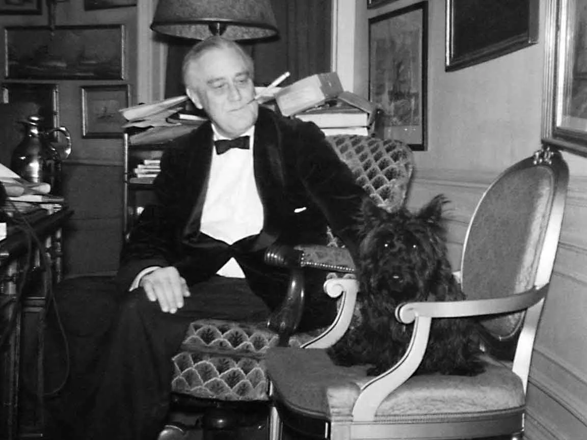 Evening Reflections: FDR and Fala