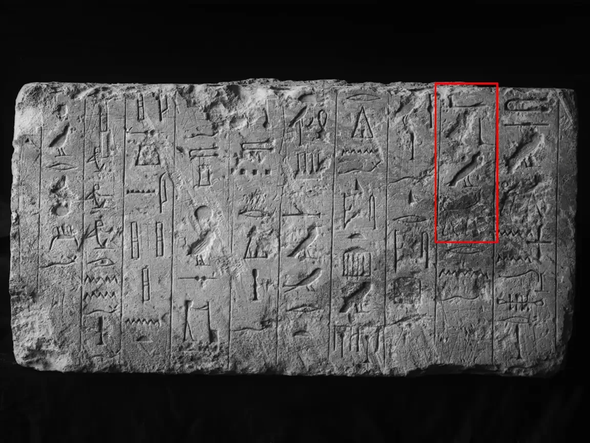Limestone tablet carved with Egyptian hieroglyphs, including a highlighted inscription referencing a dog.