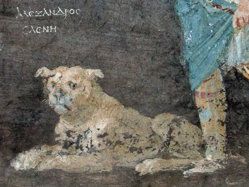 Detail from a Pompeii fresco showing a large Molossian dog lying on the ground beside a standing figure, painted in natural tones with visible Greek inscriptions nearby.