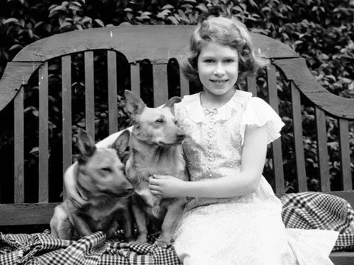 Queen Elizabeth II and Corgis: A Lifelong Love Affair