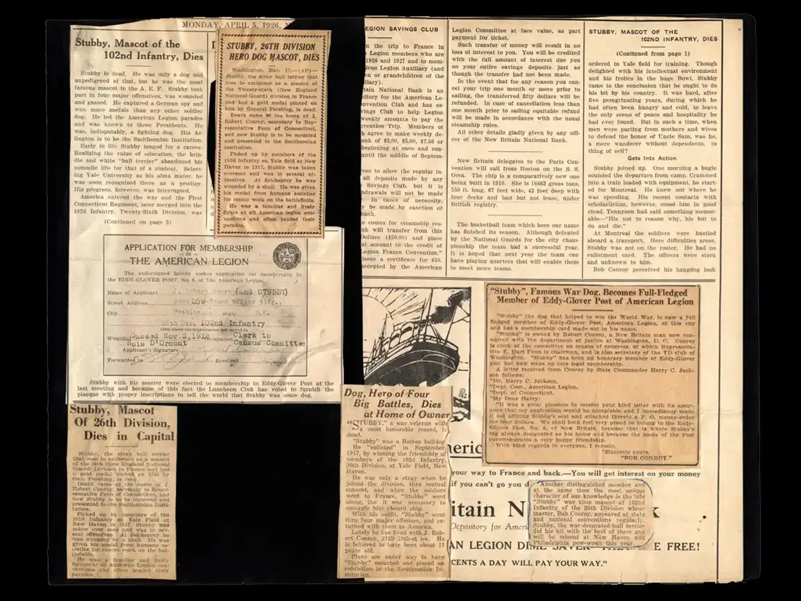 Scrapbook spread with obituaries, Legion records, and clippings marking Sergeant Stubby’s death and recognition as a decorated war dog.