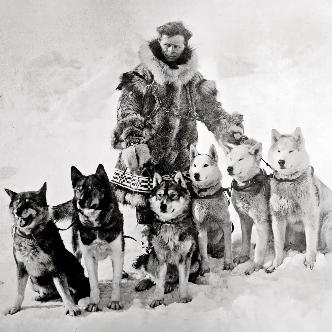 A black-and-white photo of a man in a heavy fur parka standing in snow, flanked by six harnessed husky-type dogs sitting in a row on either side of him