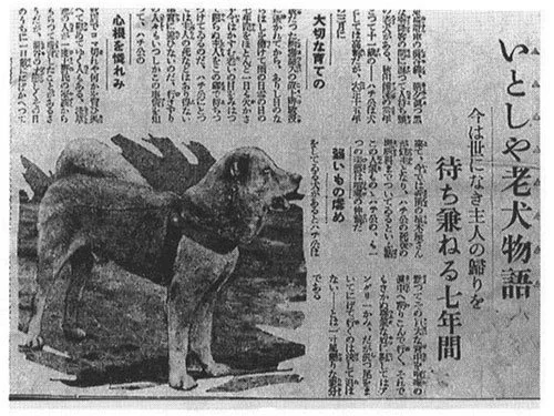 Japanese newspaper article from the 1930s featuring Hachikō, recounting the loyal dog who waited for his owner at Shibuya Station.