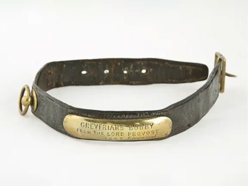 Leather collar belonging to Greyfriars Bobby with brass nameplate engraved “Greyfriars Bobby – From the Lord Provost 1867.”