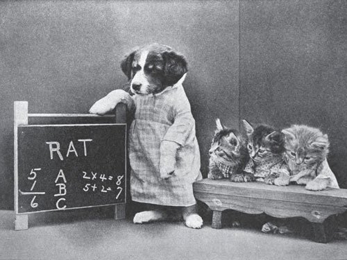A dressed puppy poses as a teacher beside a chalkboard, while three kittens sit on a bench as students in this staged classroom scene from The Little Folks of Animal Land.