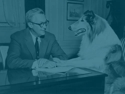 A black-and-white photo of Lassie, the famous Rough Collie, placing her paws on a desk while interacting with a man in a suit, likely from the 1950s television era with teal filter