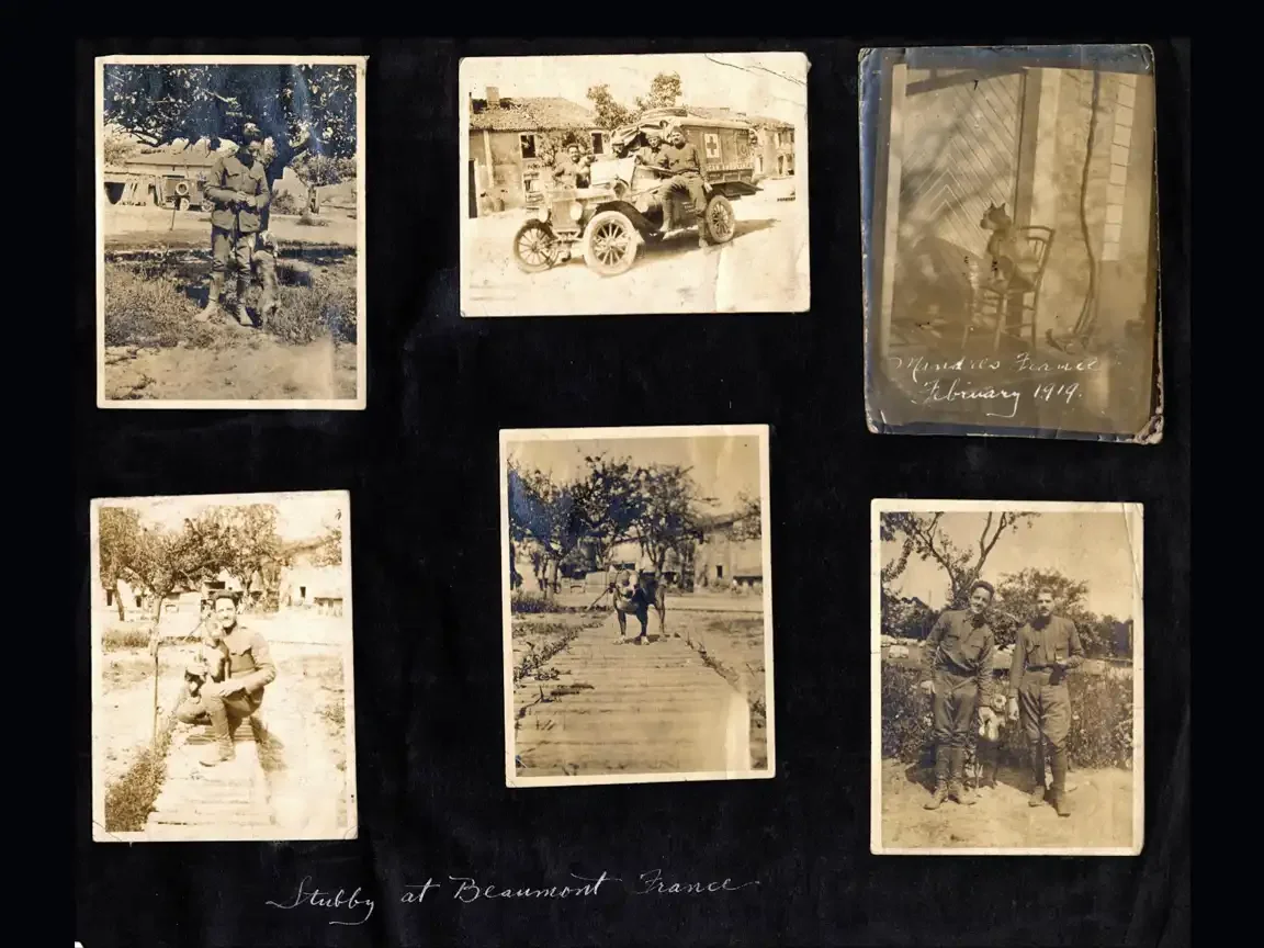 A scrapbook page displaying several small wartime photos of soldiers and a Boston terrier mix dog in France during WWI, arranged and captioned by hand.