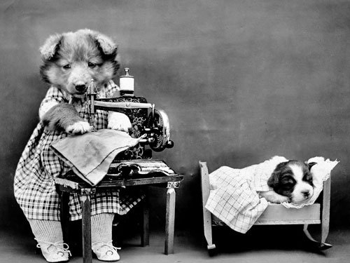 A dressed puppy operates a toy sewing machine while another puppy sleeps in a tiny bed, in this charming staged domestic scene from The Little Folks of Animal Land.