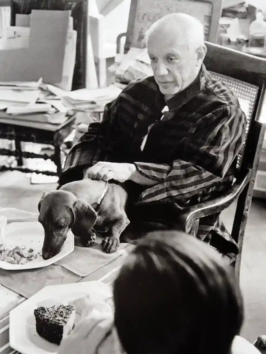 An elderly man in a striped shirt sits at a dining table with a dachshund lying across his lap, the dog eating directly from a white plate while the man watches it eat.