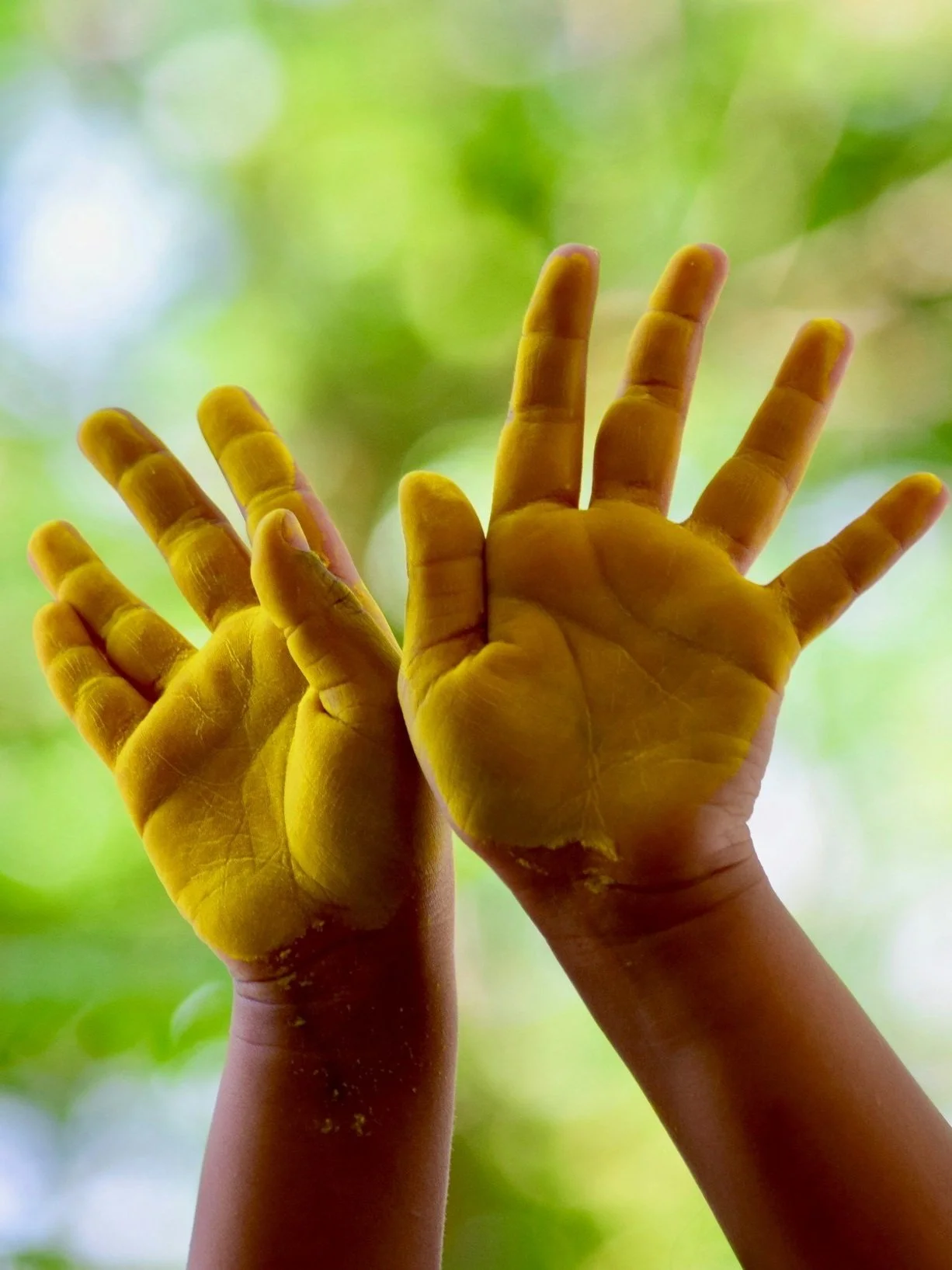 4plus assessment tutor