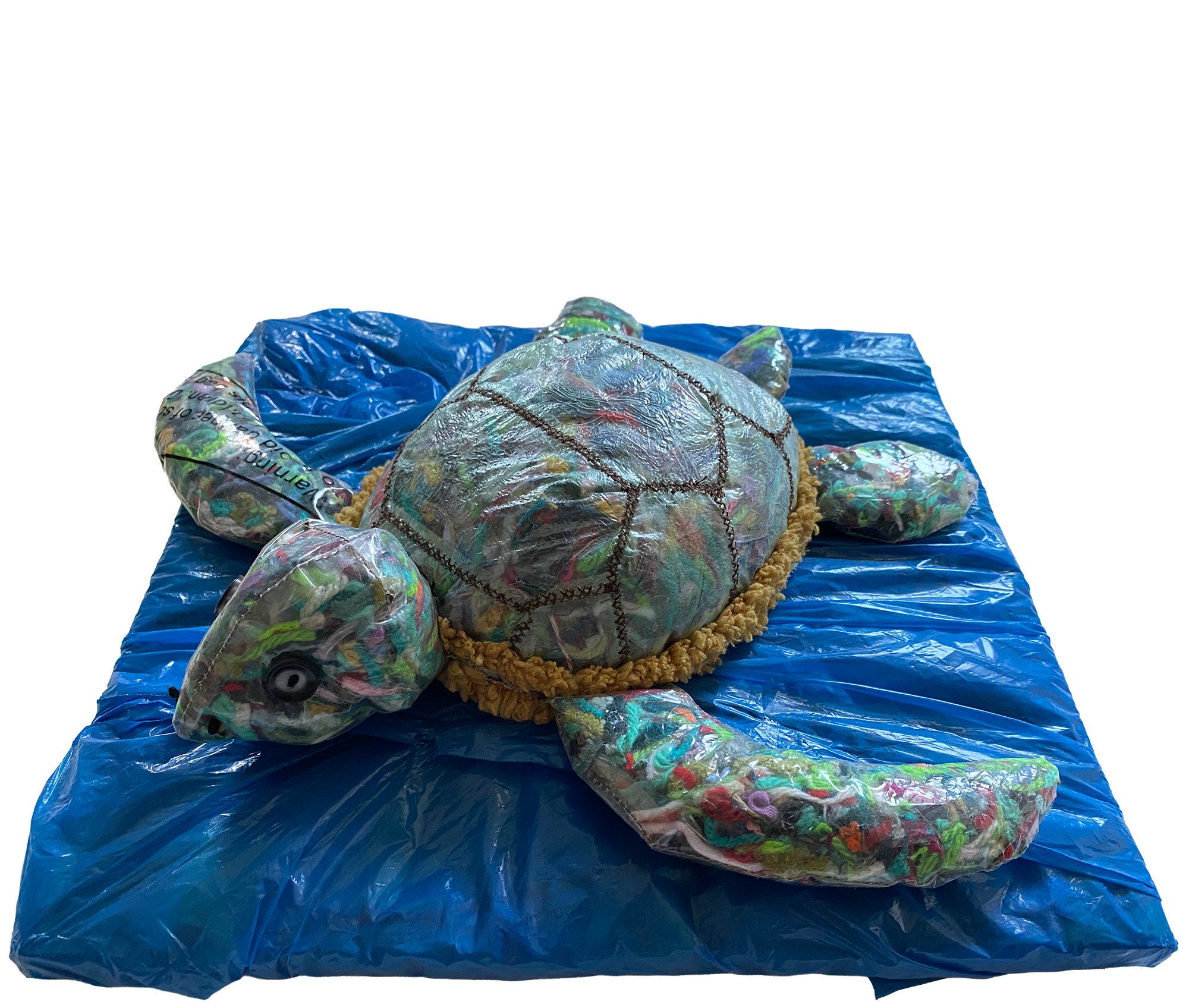 plastiturtle2.png