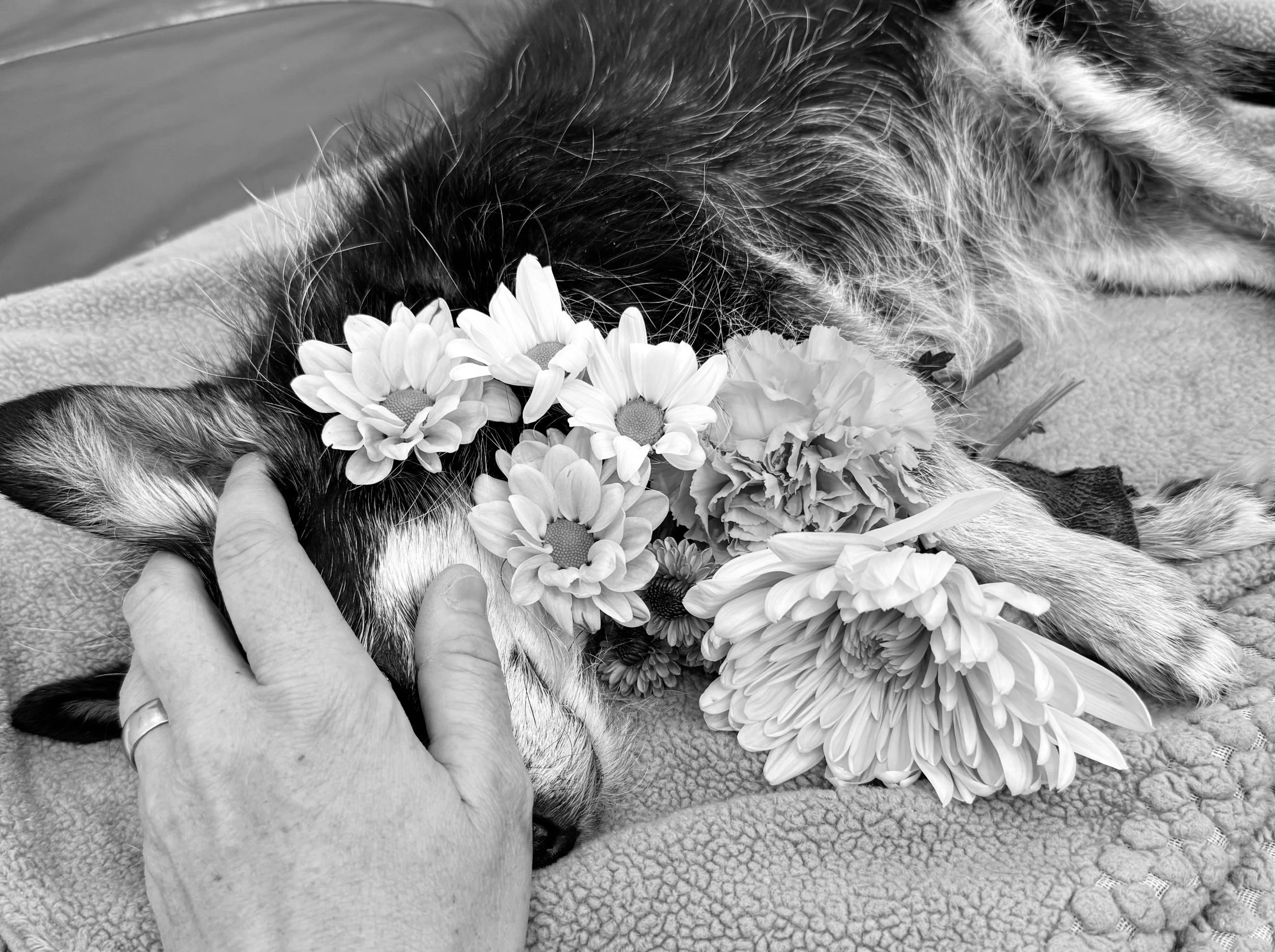 Love &amp; Loss: Processing Grief