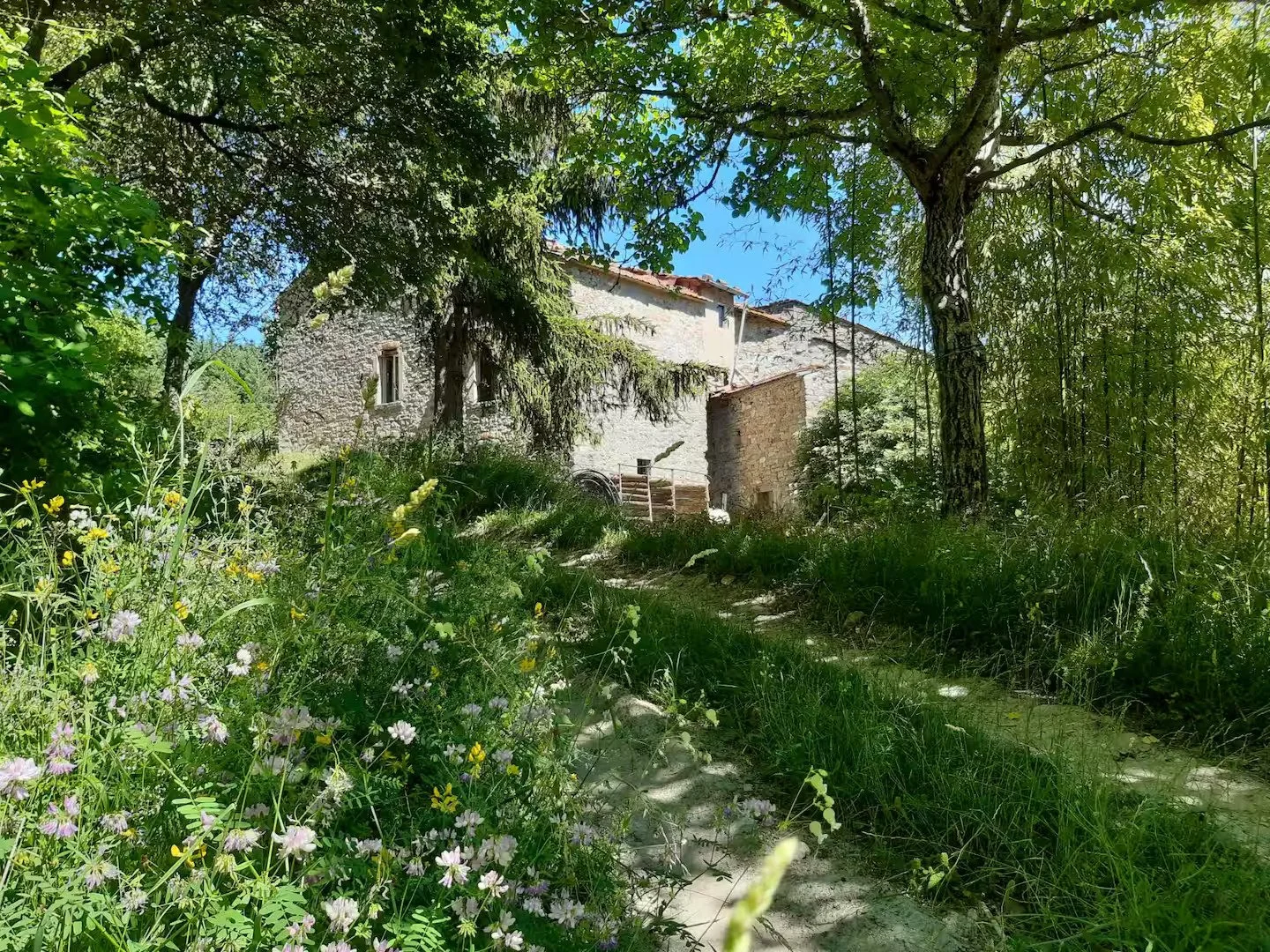 exterior3.jpg